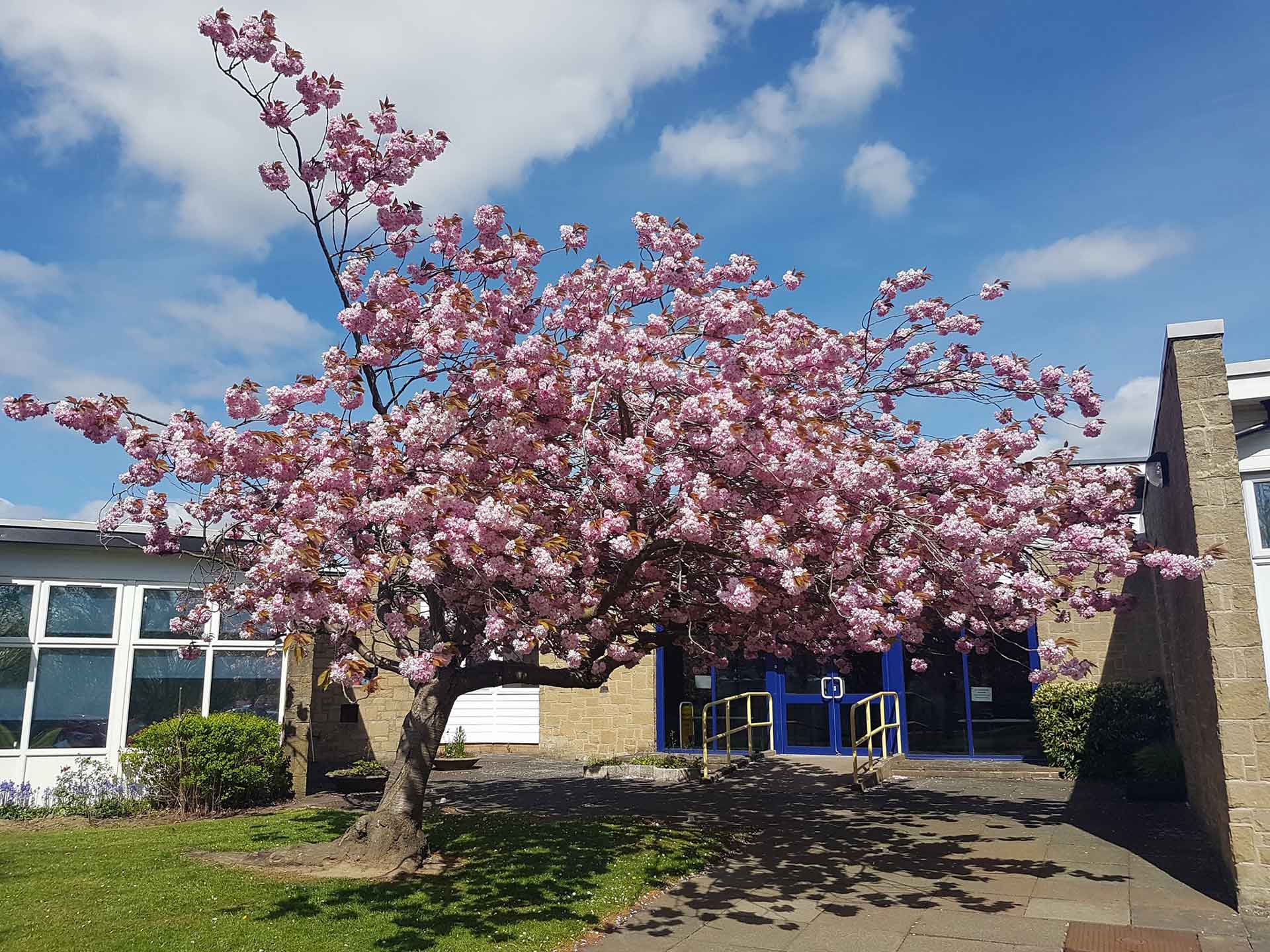 morpeth baptist church
