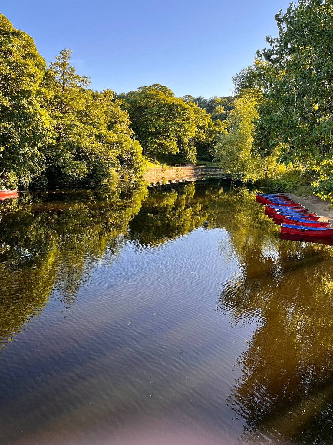 Picnic in Carlisle Park MBC